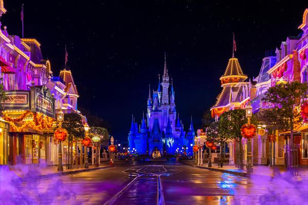 Magic Kingdom